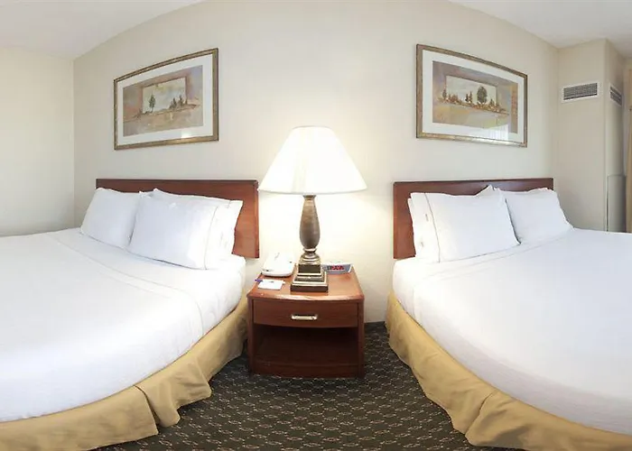 Hilton Garden Minneapolis Airport Mall Of America Hotel