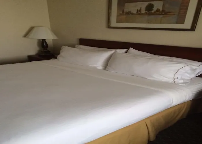Hilton Garden Minneapolis Airport Mall Of America Hotel