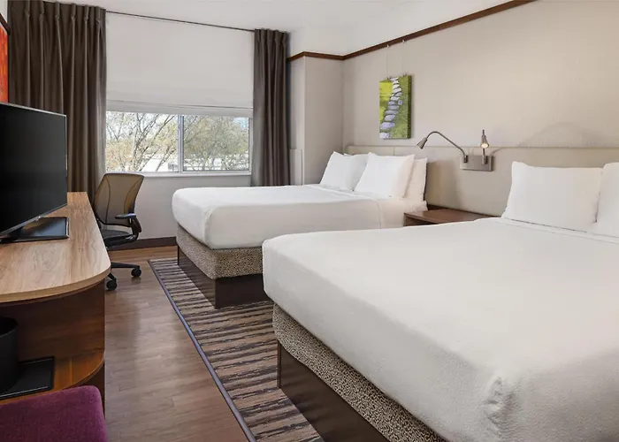 Hilton Garden Minneapolis Airport Mall Of America Hotel