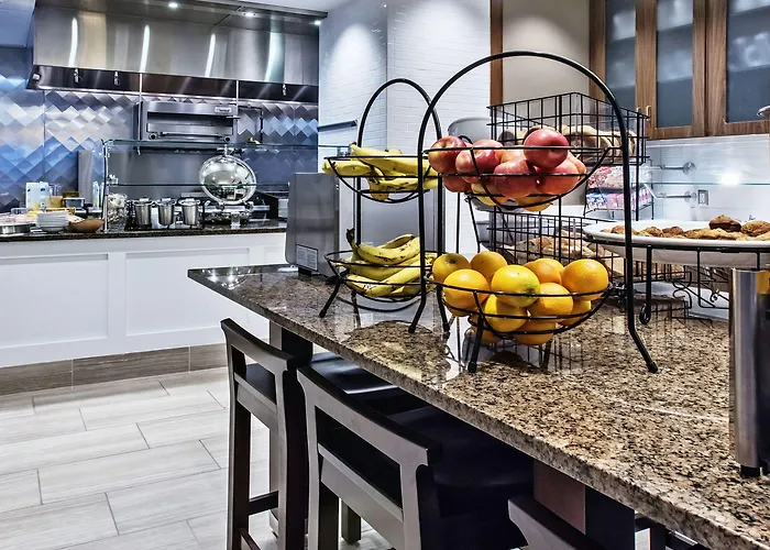 Hilton Garden Minneapolis Airport Mall Of America Hotel Bloomington