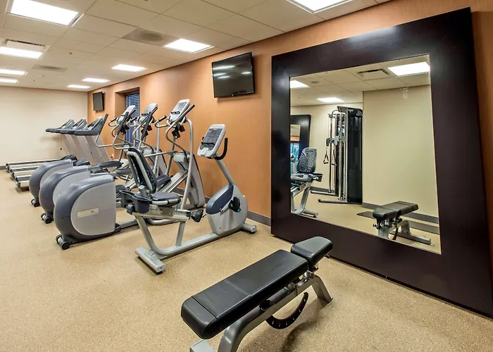 Hilton Garden Minneapolis Airport Mall Of America Hotel Bloomington