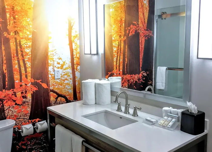 Hilton Garden Minneapolis Airport Mall Of America 3* Bloomington