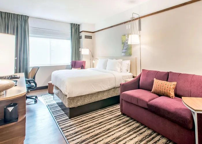 Hilton Garden Minneapolis Airport Mall Of America Hotel